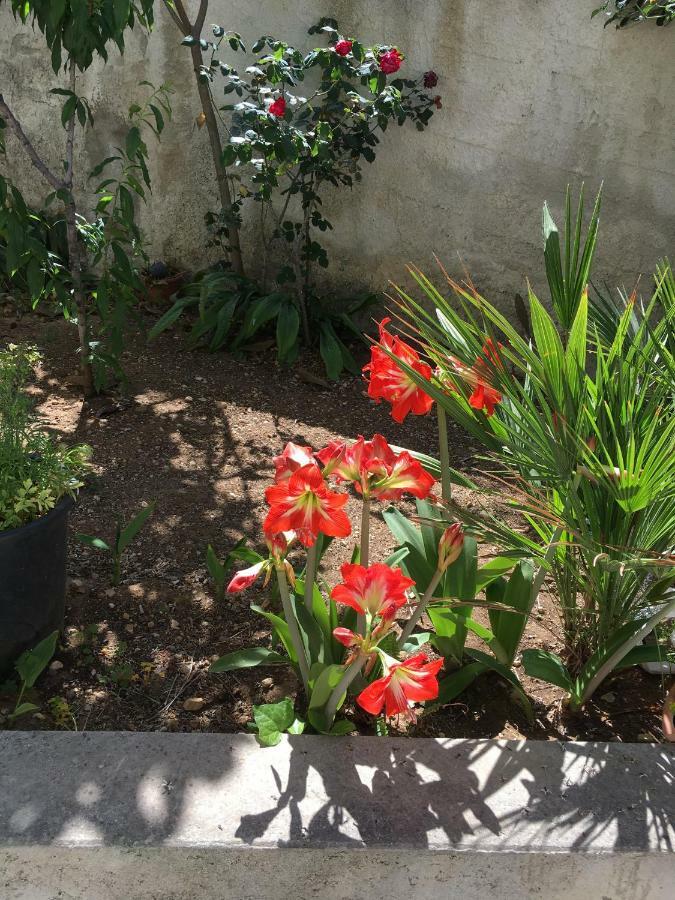 Casa Vacanza Demi Alcamo Marina Zewnętrze zdjęcie