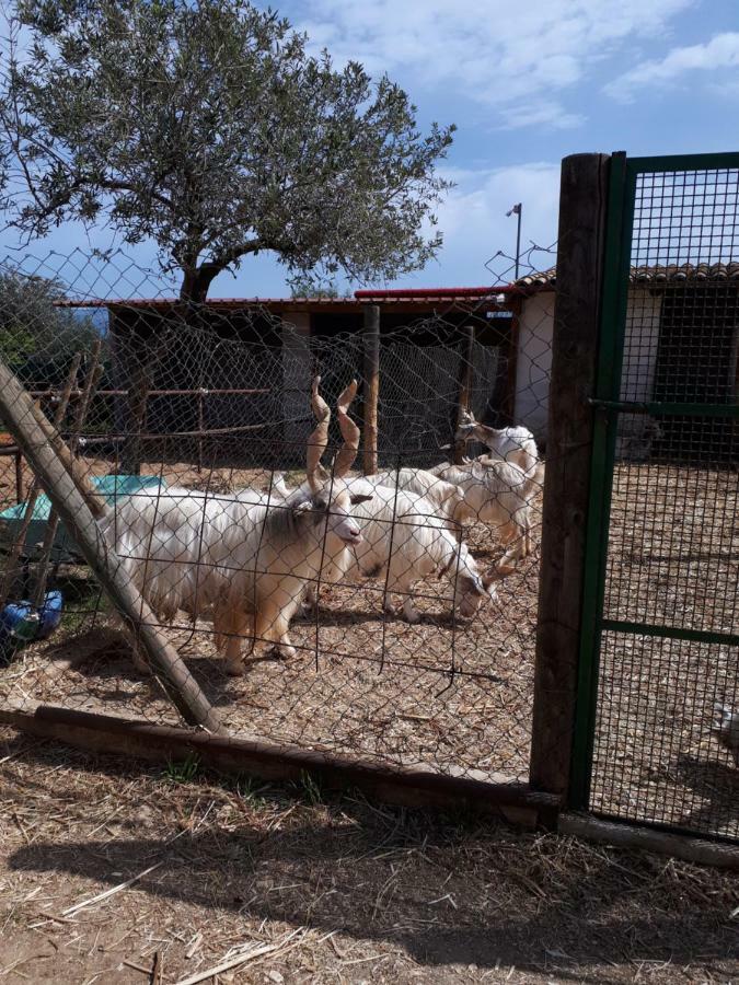 Casa Vacanza Demi Alcamo Marina Zewnętrze zdjęcie